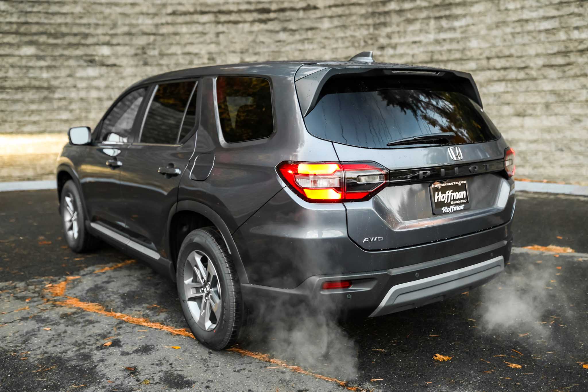 2025 Honda Pilot EX-L photo 3