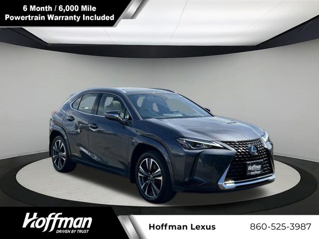 2022 Lexus UX UX 250h