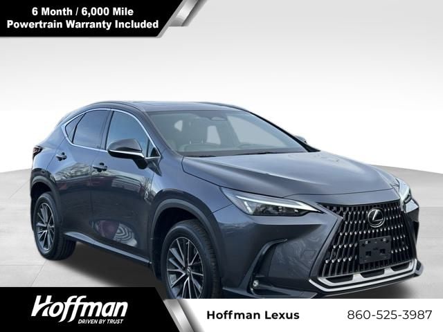 2023 Lexus NX 350's photo