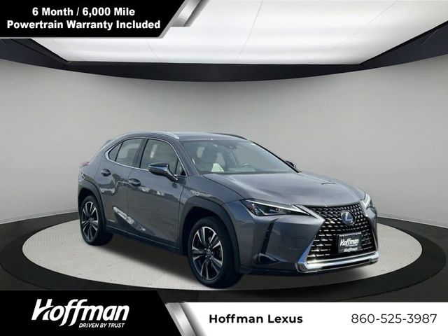 2020 Lexus UX UX 250h