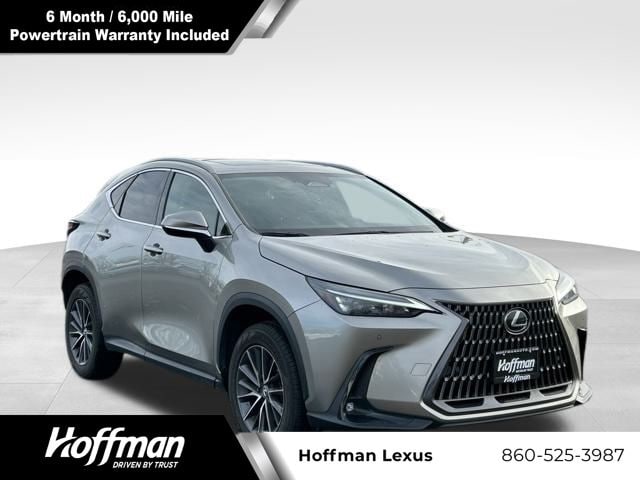 2024 Lexus NX 350's photo