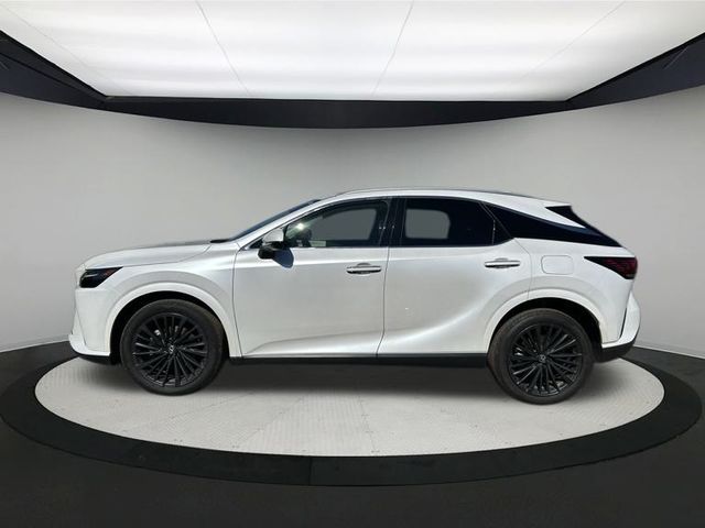 2024 Lexus RX 350 Premium photo 4