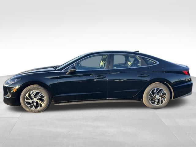 2023 Hyundai Sonata Hybrid Blue photo 4