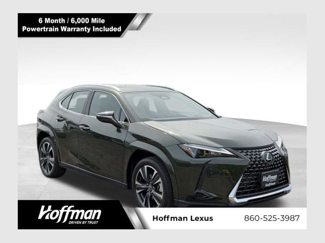 2025 Lexus UX 300h 300h Premium AWD's photo