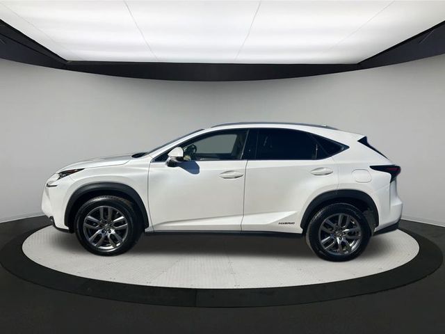 2015 Lexus NX 300h Luxury photo 4