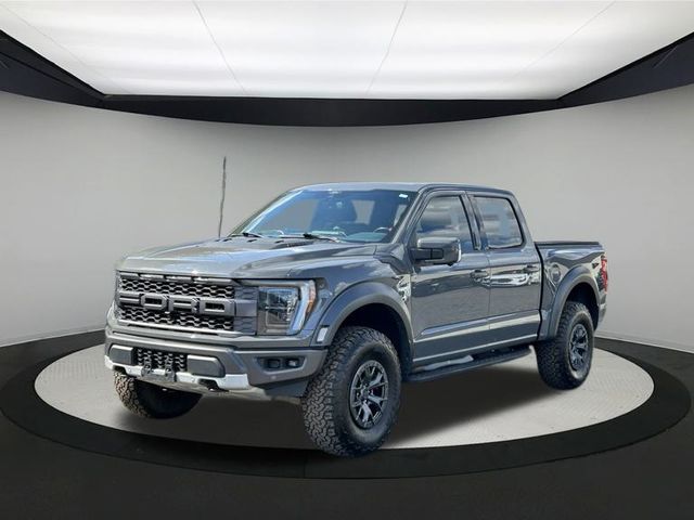 2021 Ford F-150 Raptor photo 3