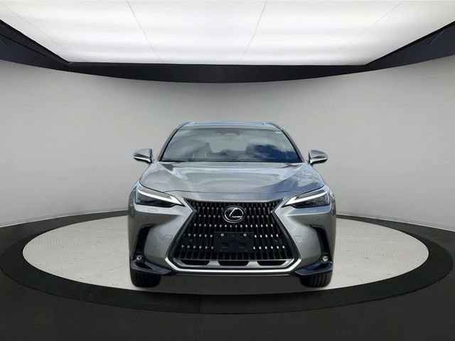 2024 Lexus NX 450h+ Luxury photo 2