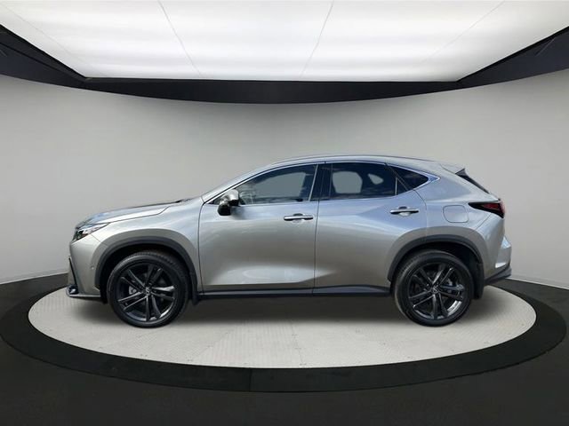 2024 Lexus NX 450h+ Luxury photo 4