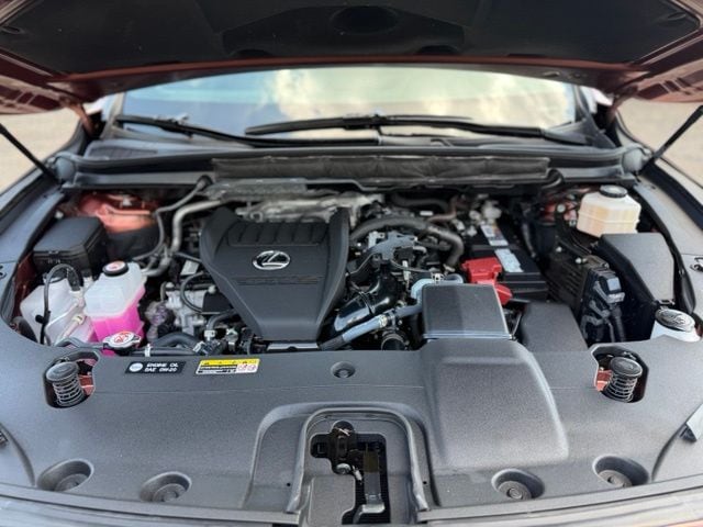 2024 Lexus RX 350 F SPORT - Photo 18