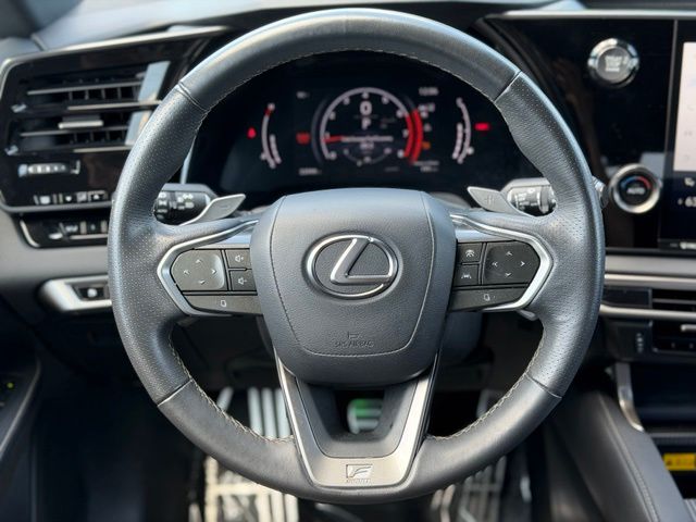 2024 Lexus RX 350 F SPORT - Photo 15