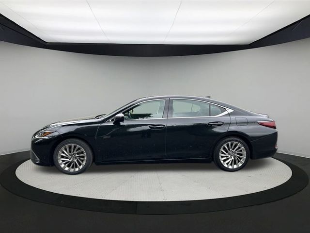 2019 Lexus ES 350 Luxury photo 3