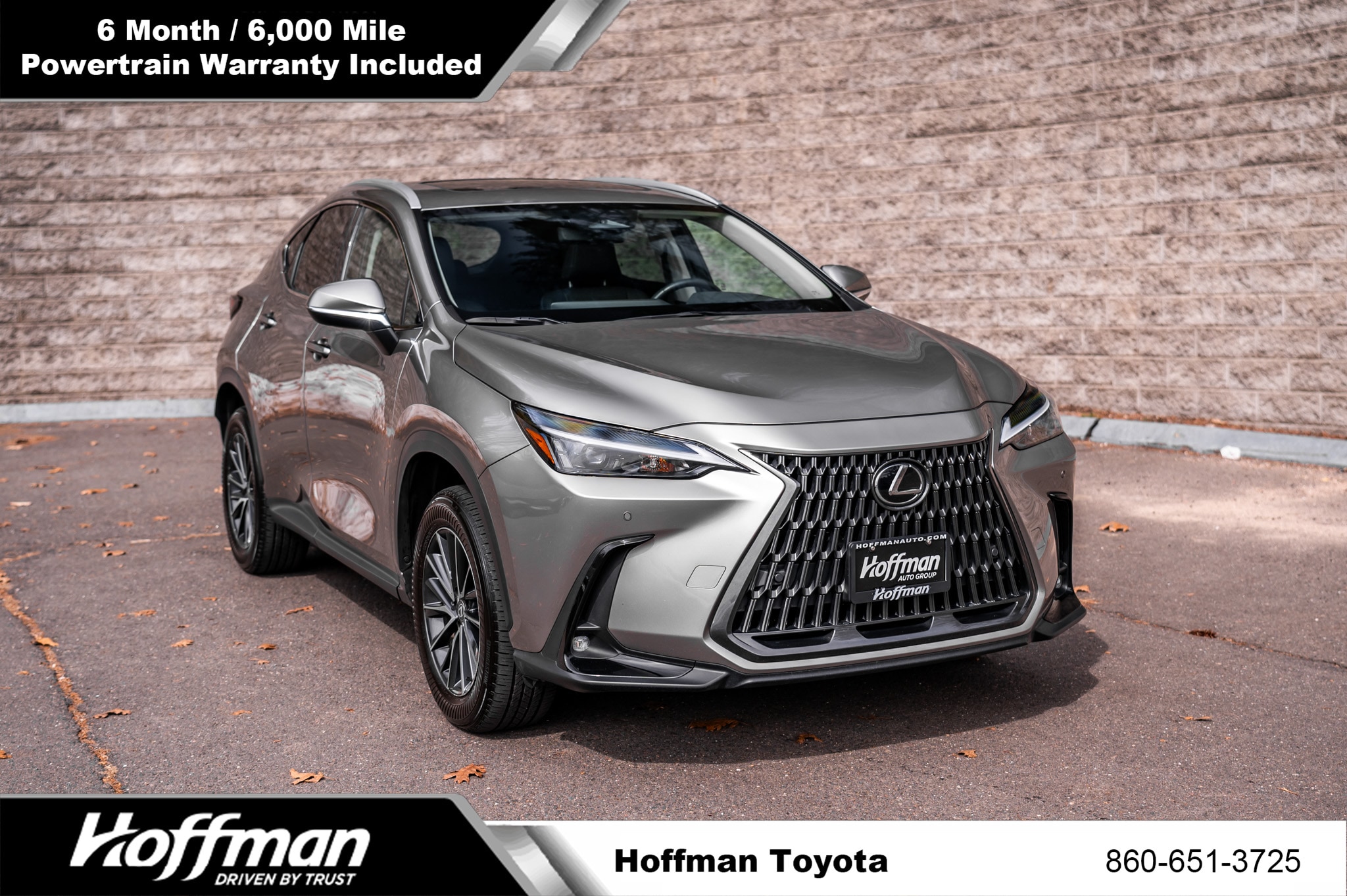 2025 Lexus NX 350 Premium AWD