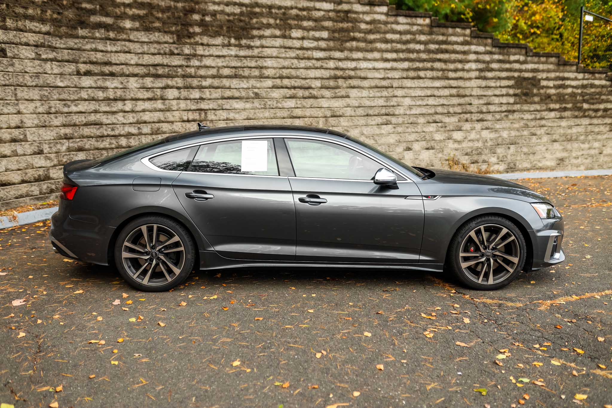 2025 Audi S5 Premium Plus photo 2