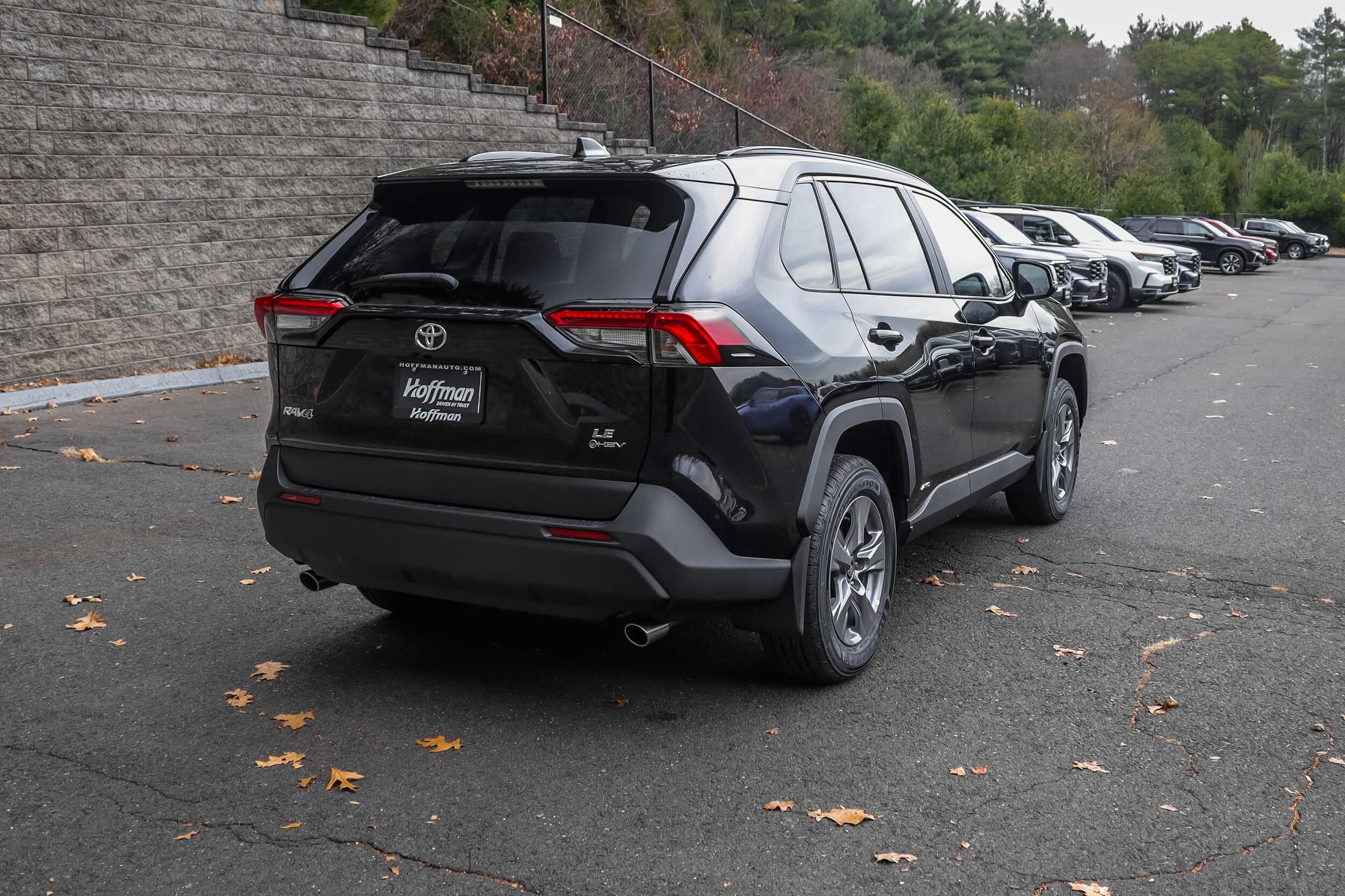 2025 Toyota RAV4 Hybrid LE photo 3