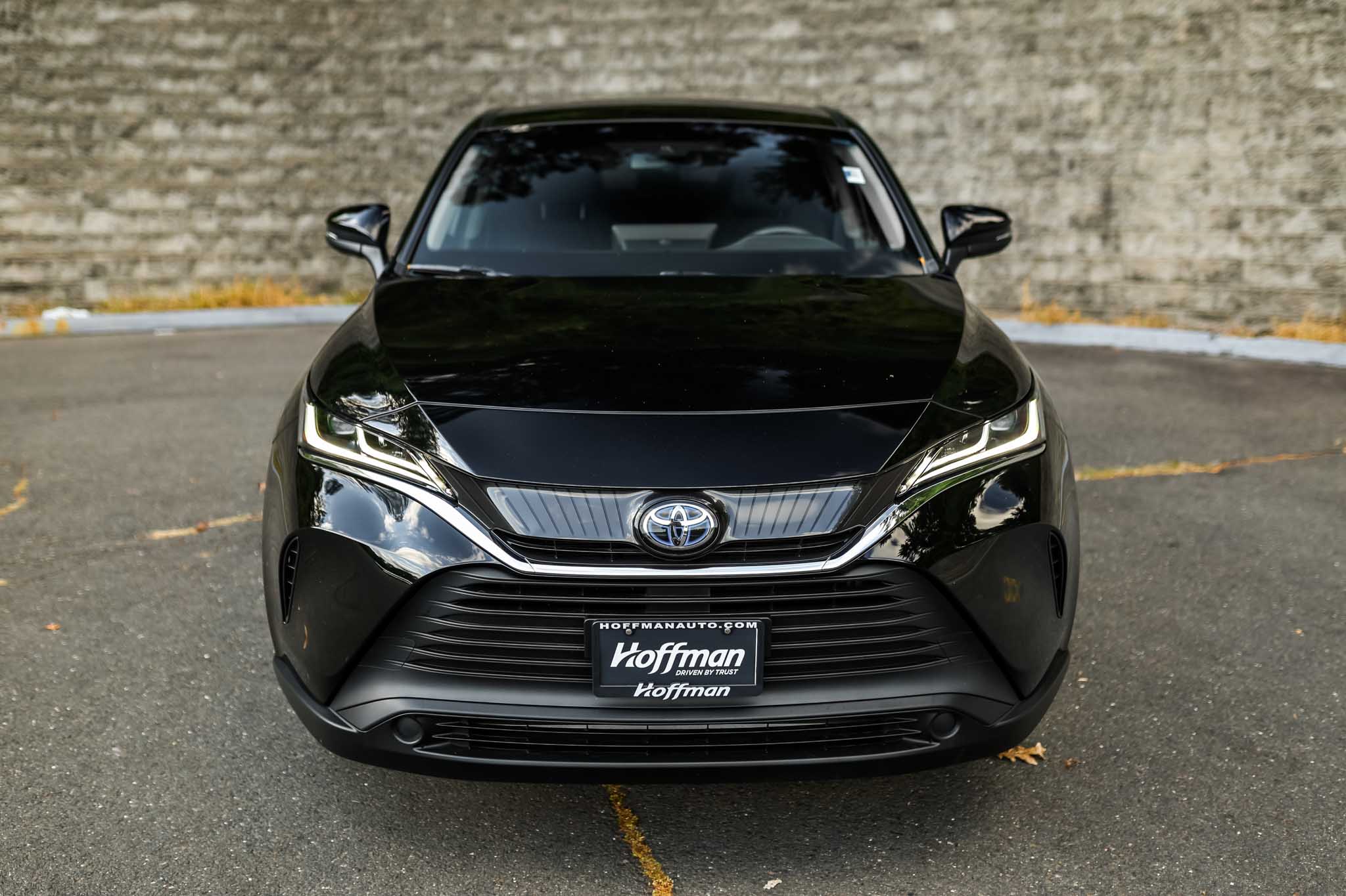 2024 Toyota Venza LE photo 2