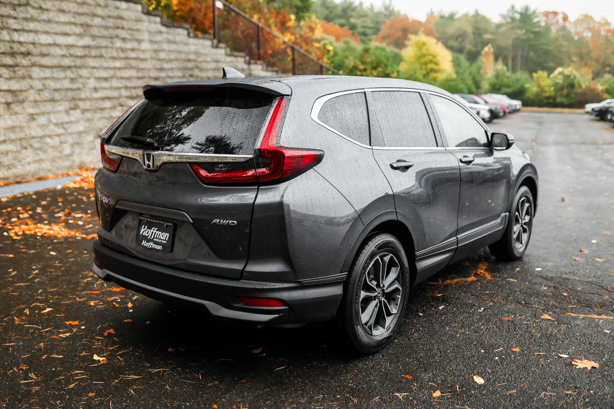 2022 Honda CR-V EX-L photo 3