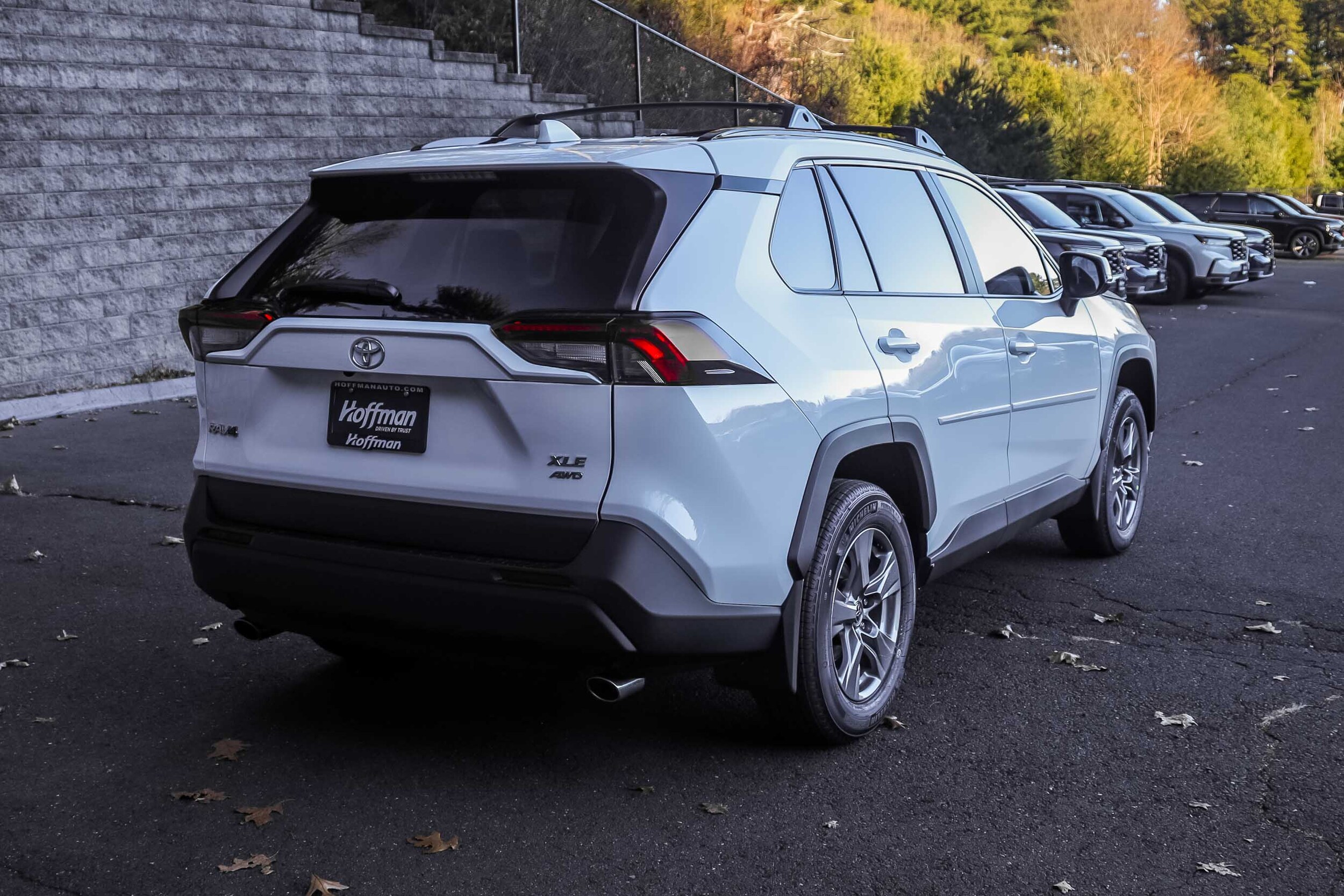 2025 Toyota RAV4 XLE photo 3