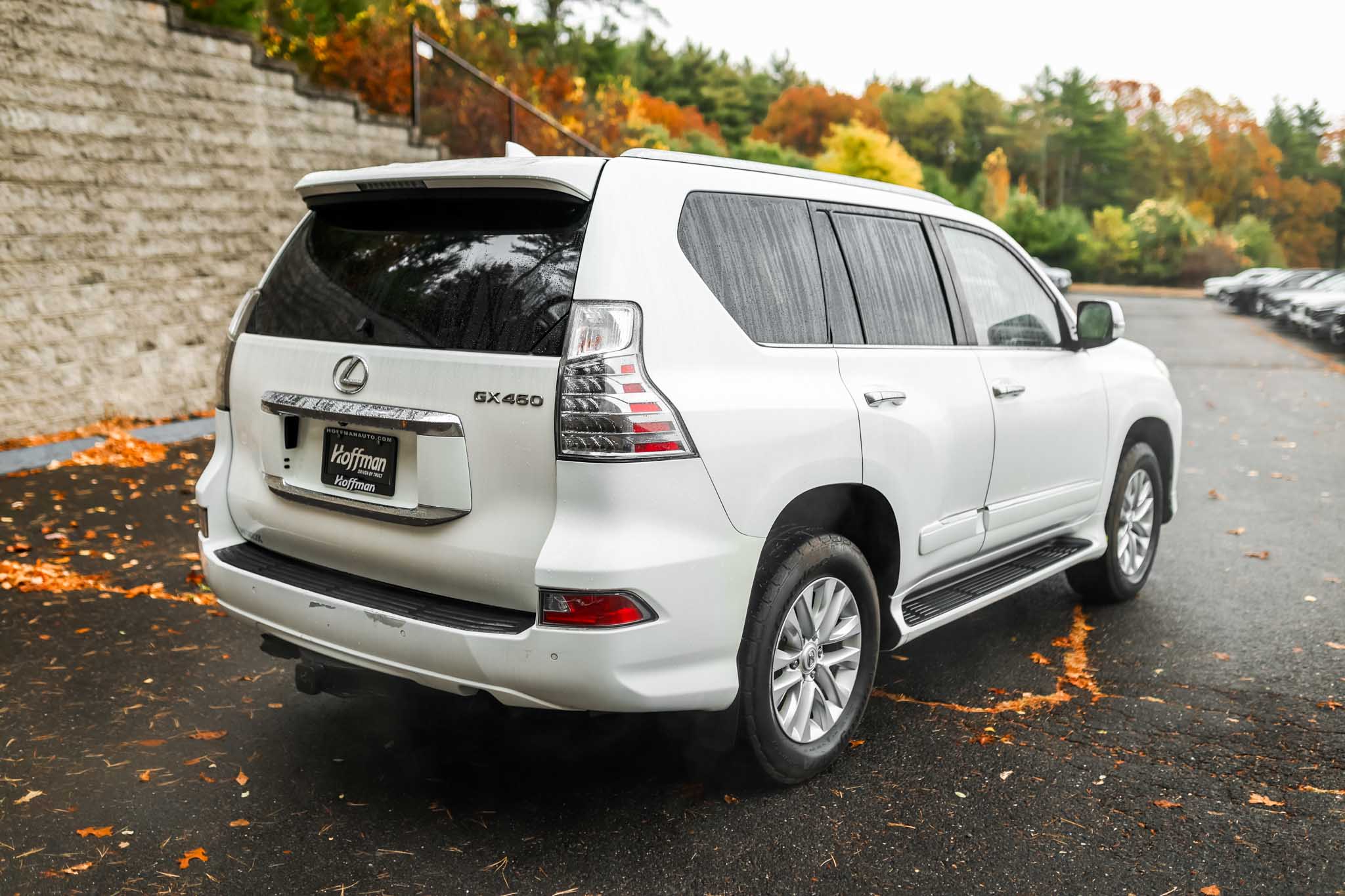 2017 Lexus GX 460 photo 2