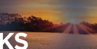 Holman Automotive Group