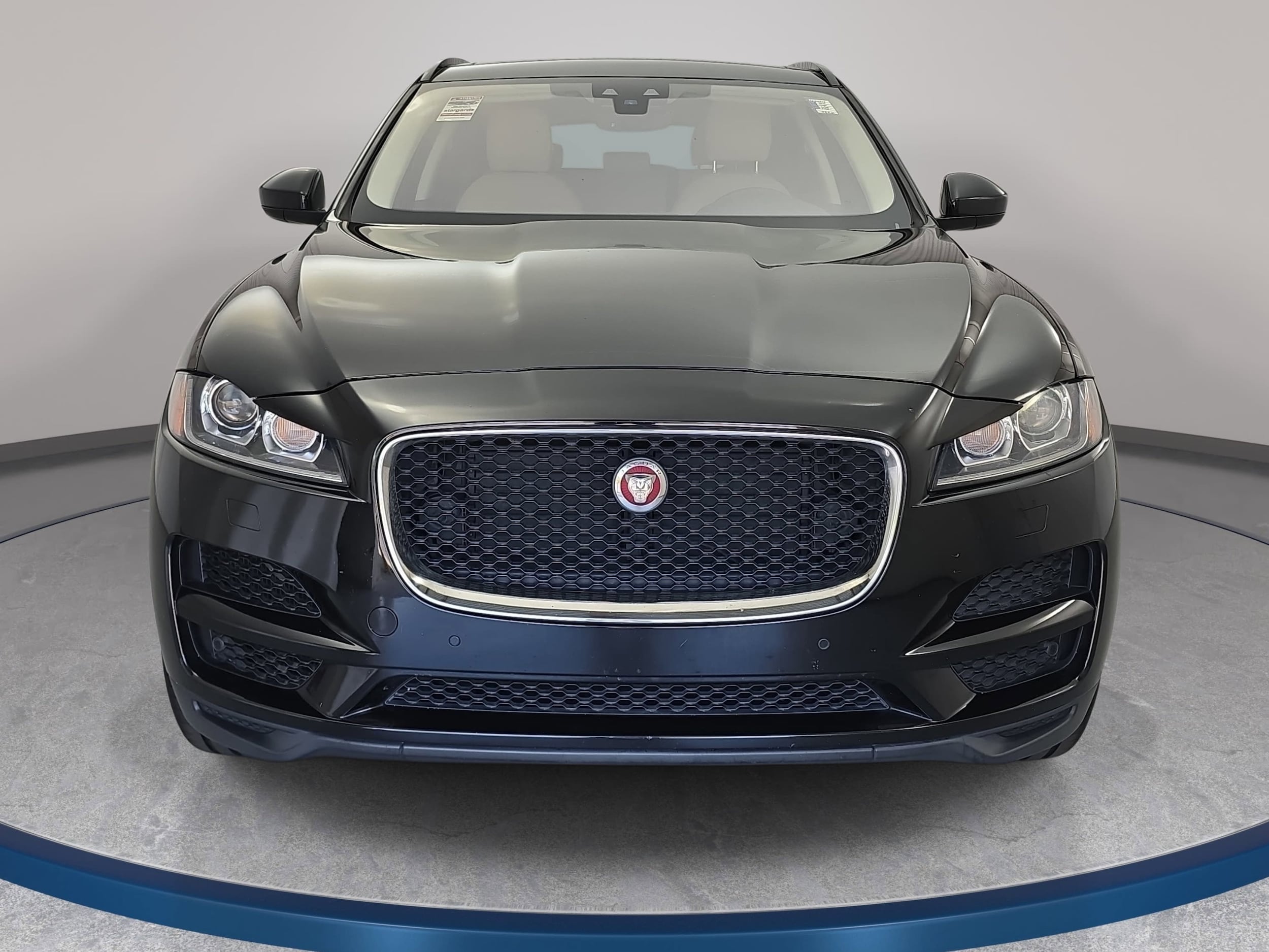 Used 2019 Jaguar F-Pace Premium with VIN SADCJ2FX3KA356826 for sale in Apex, NC
