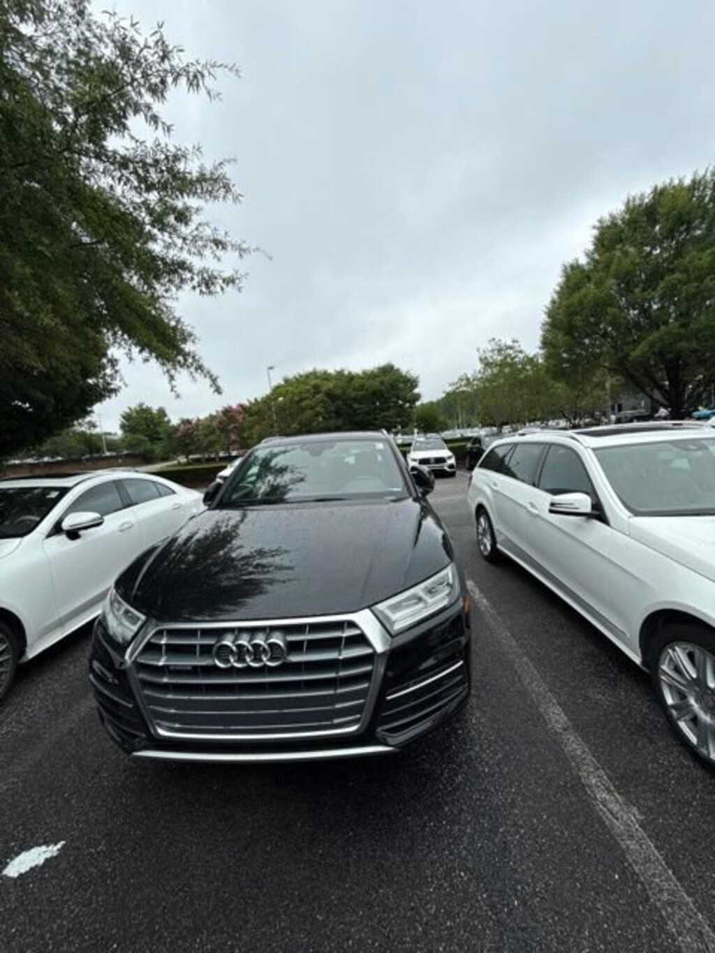 Used 2019 Audi Q5 2.0T Premium SUV