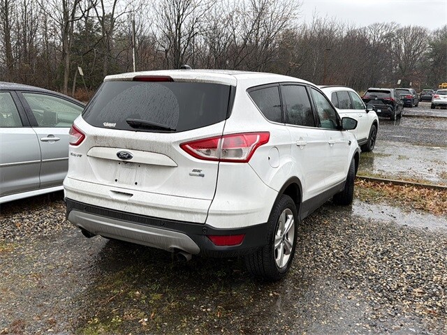 2014 Ford Escape SE photo 2