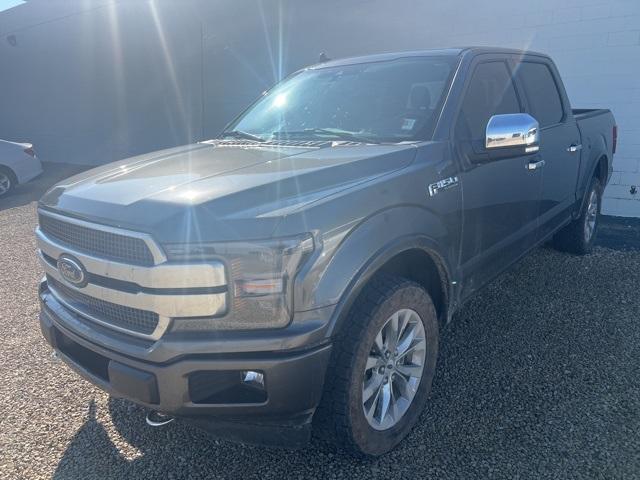 2019 Ford F-150 Platinum photo 2