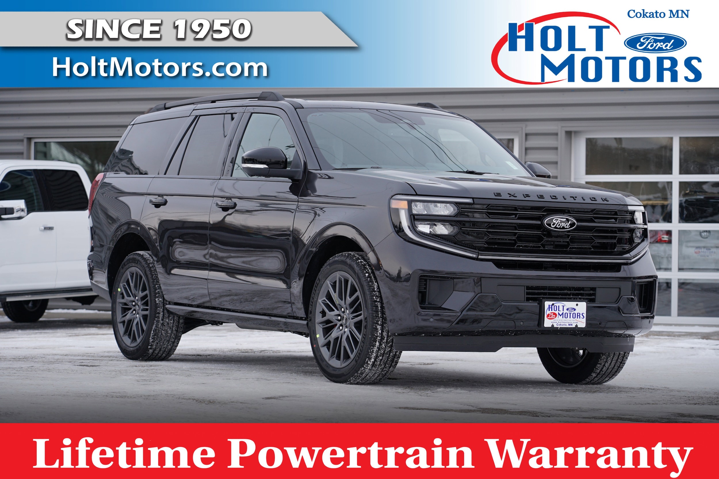 2025 Ford Expedition Platinum 4x4's photo
