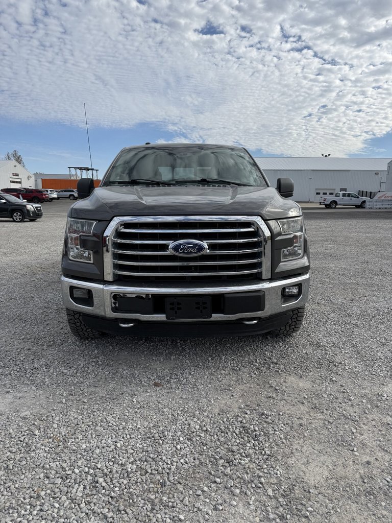 2015 Ford F-150 XLT photo 2