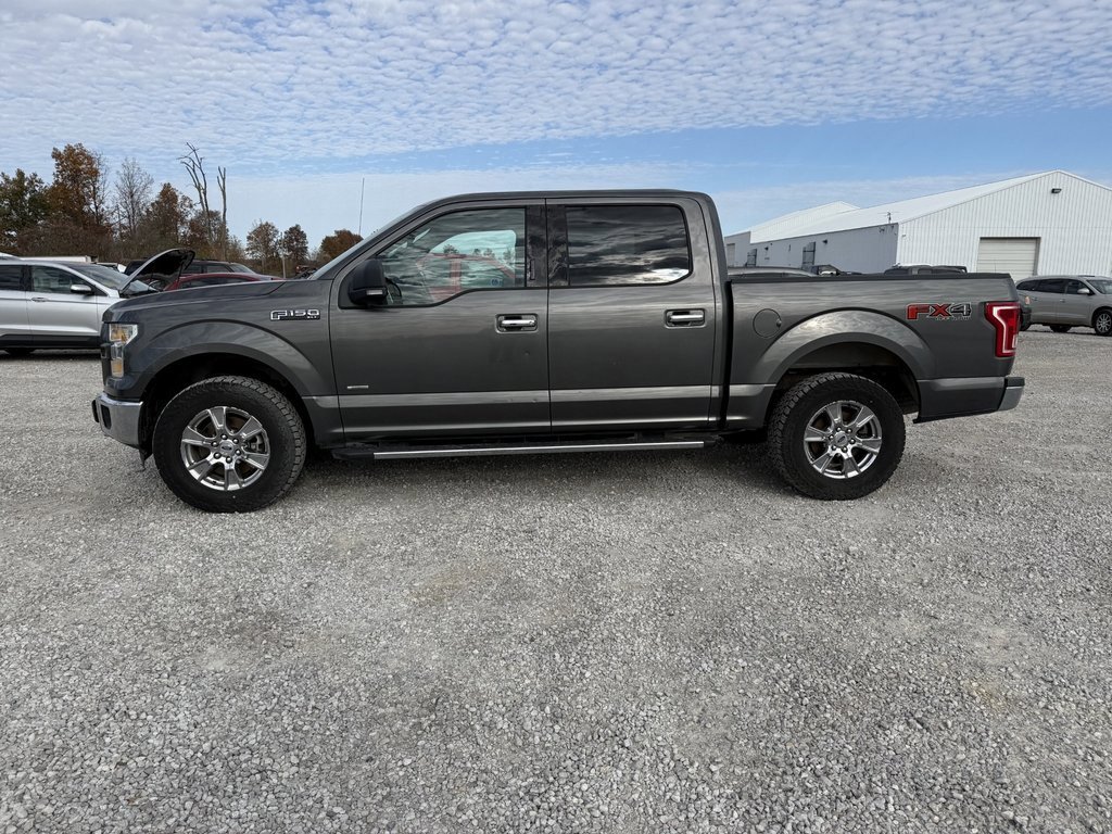 2015 Ford F-150 XLT photo 3