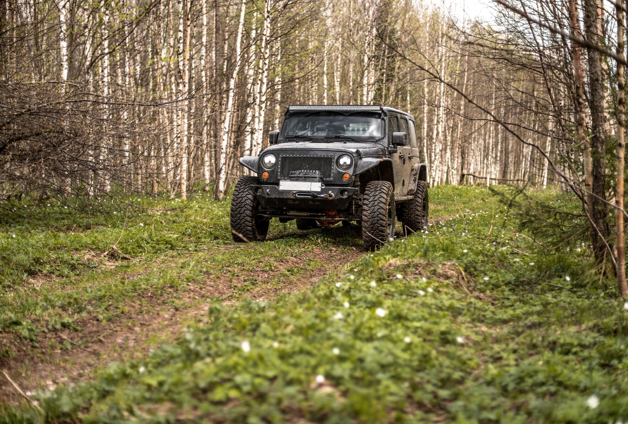 Which Year of the Jeep Wrangler is the Most Reliable?