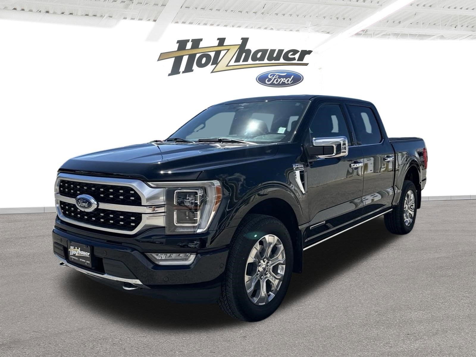 Used 2023 Ford F-150 Platinum with VIN 1FTFW1ED9PFB17495 for sale in Storm Lake, IA