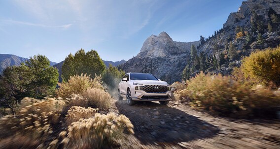 The 2021 Hyundai Santa Fe - Mid-Sized Favorite with Safety on the Brain