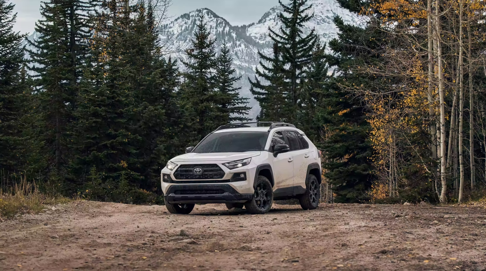 A front view of the Toyota Rav4 surrounded by a mountainous forest.