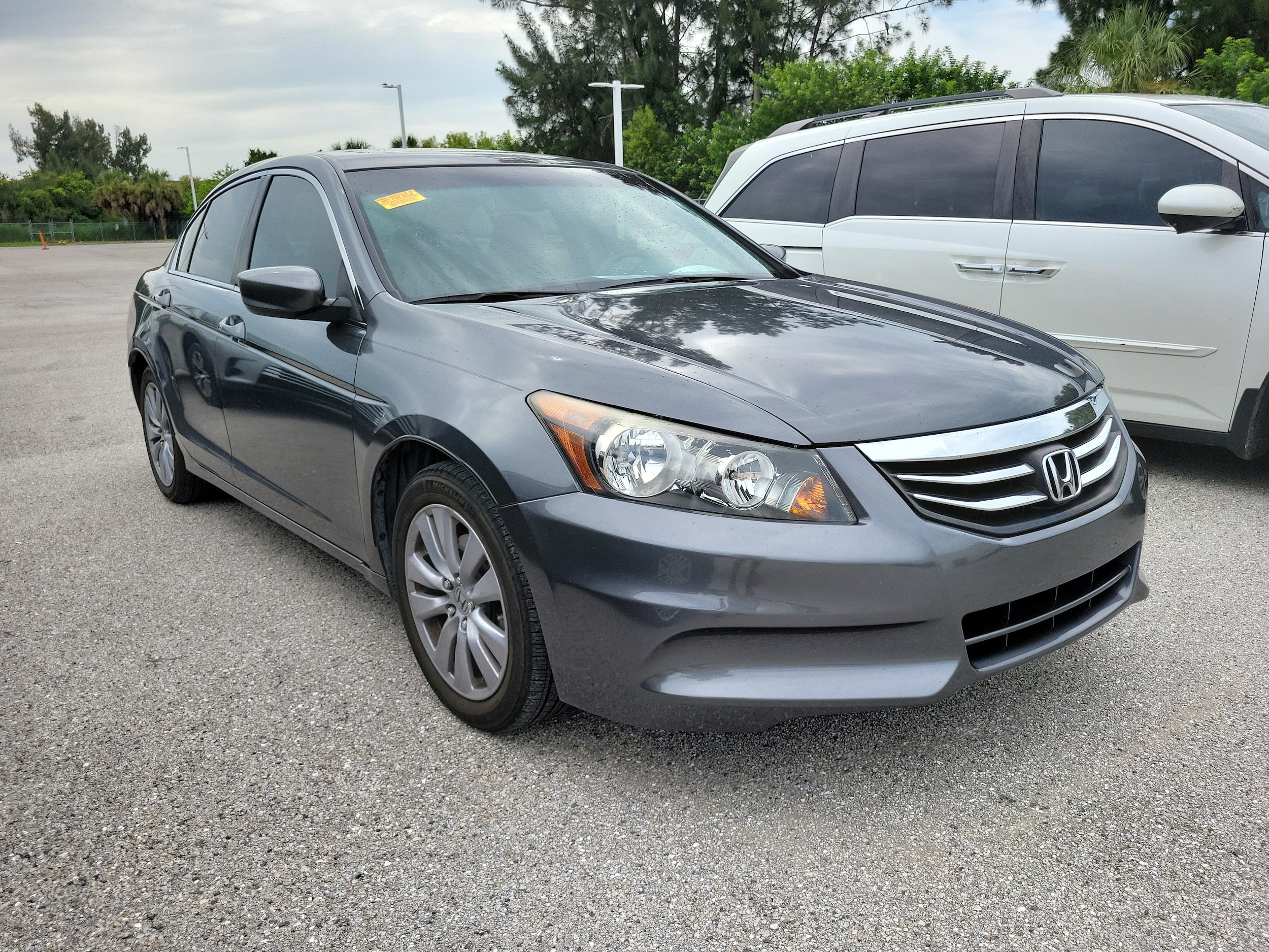 Used 2011 Honda Accord EX-L with VIN 1HGCP2F81BA020189 for sale in Bradenton, FL