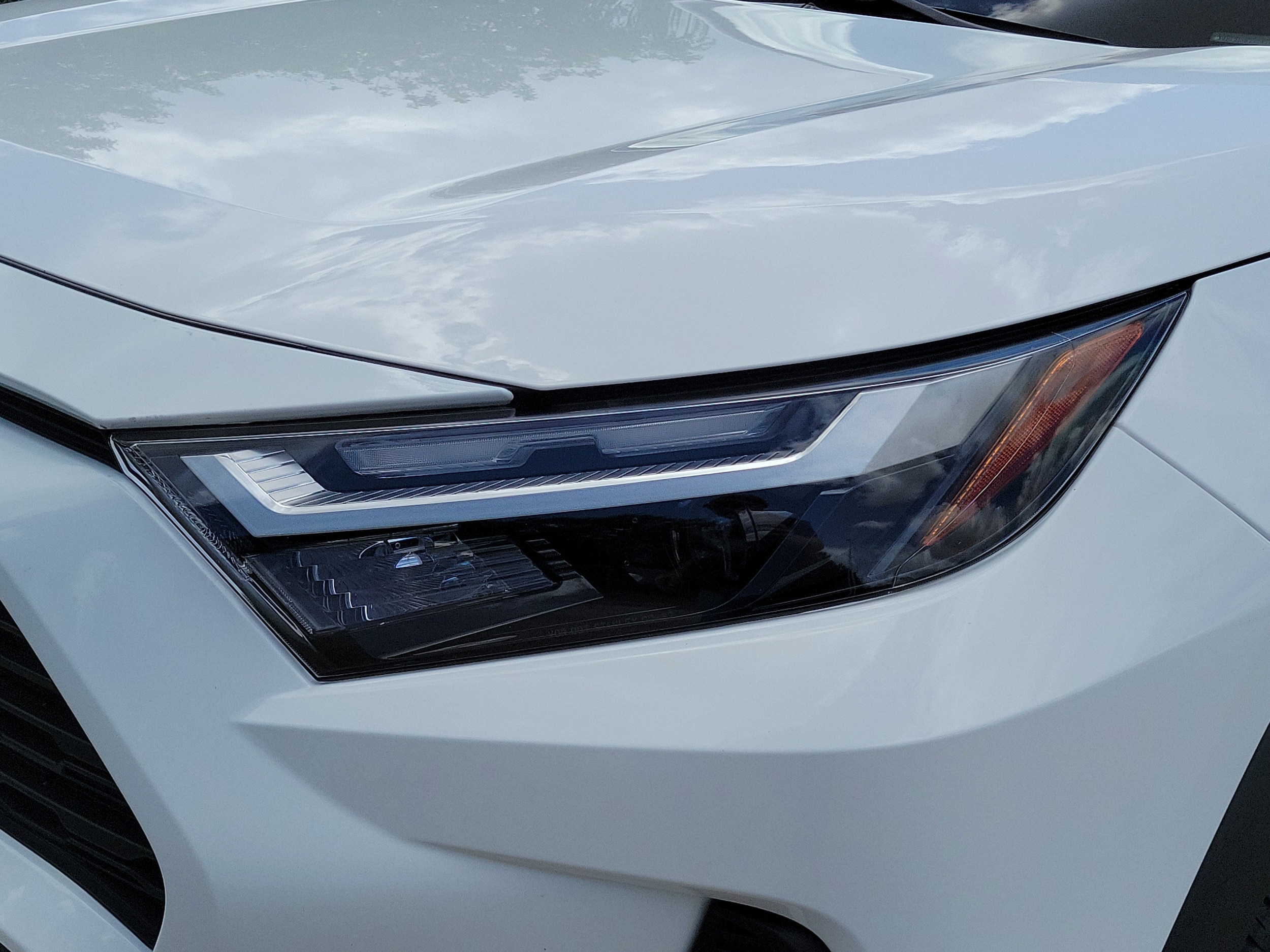 2025 Toyota RAV4 XLE photo 5