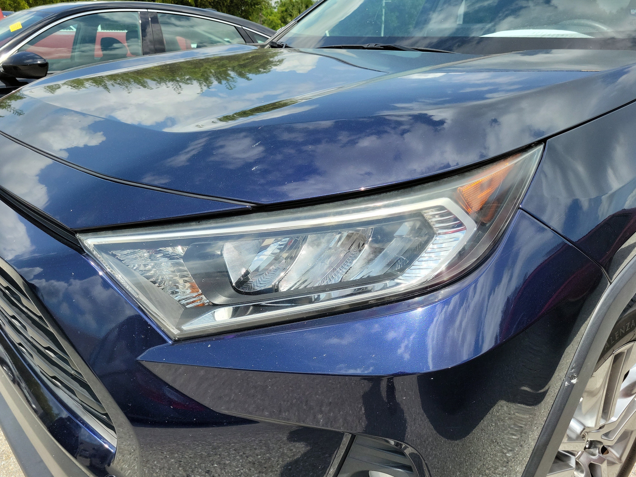 2019 Toyota RAV4 XLE photo 6