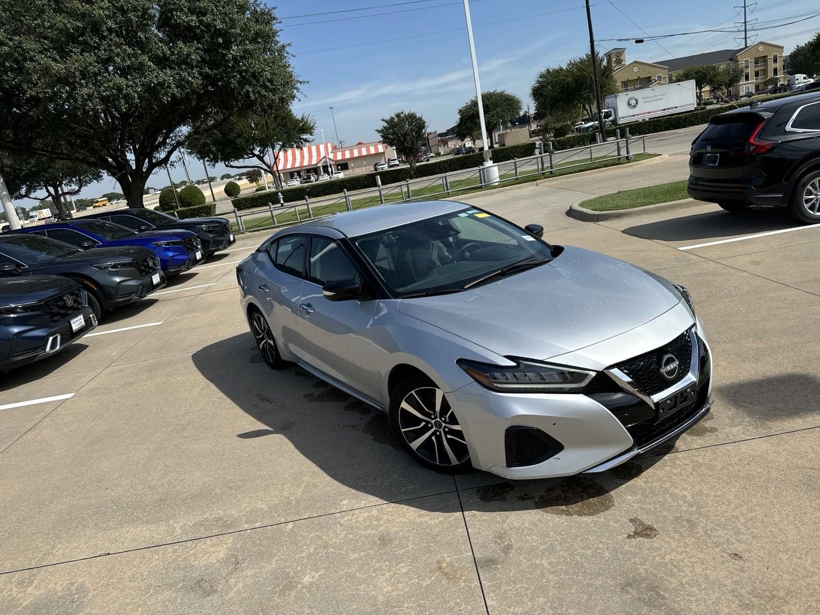 Used 2023 Nissan Maxima SV with VIN 1N4AA6CV9PC510339 for sale in Mckinney, TX