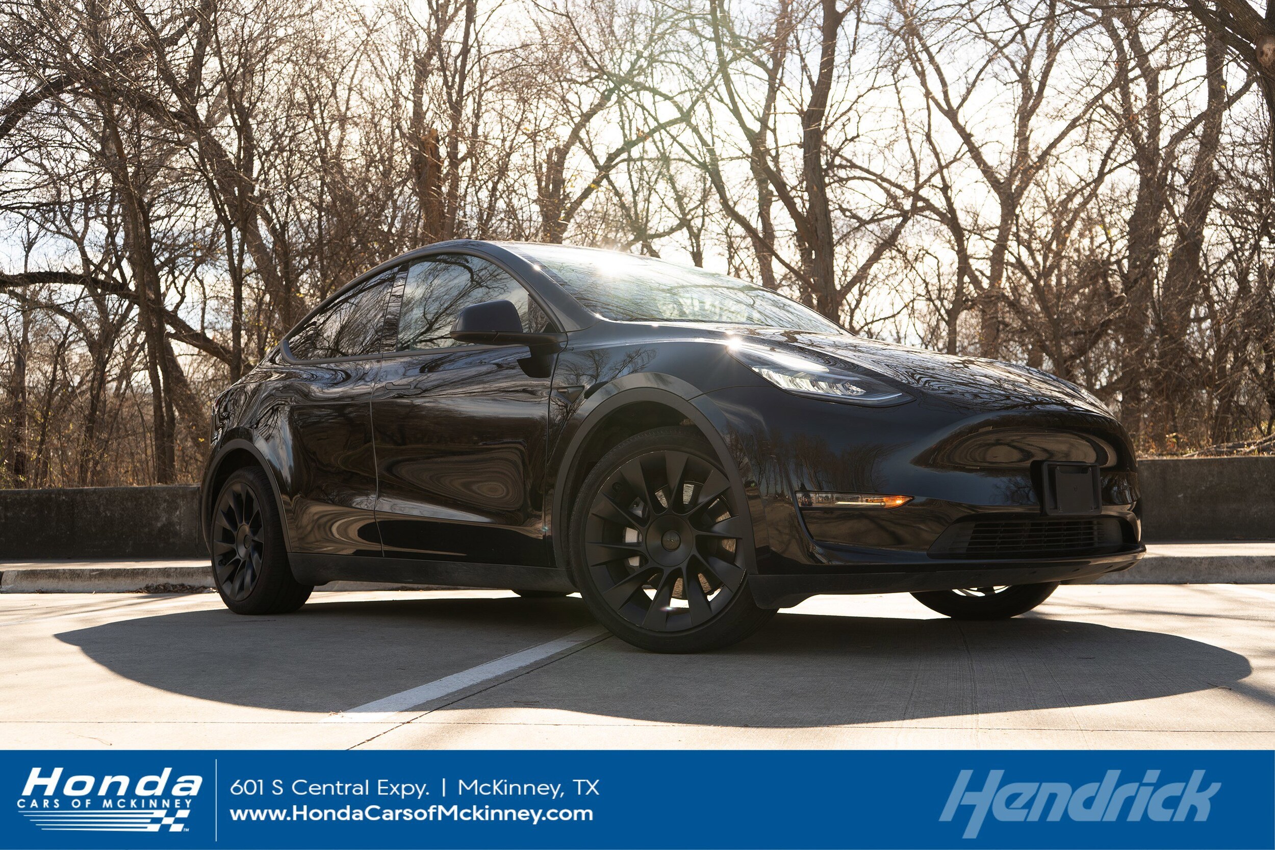 2023 Tesla Model Y Long Range's photo