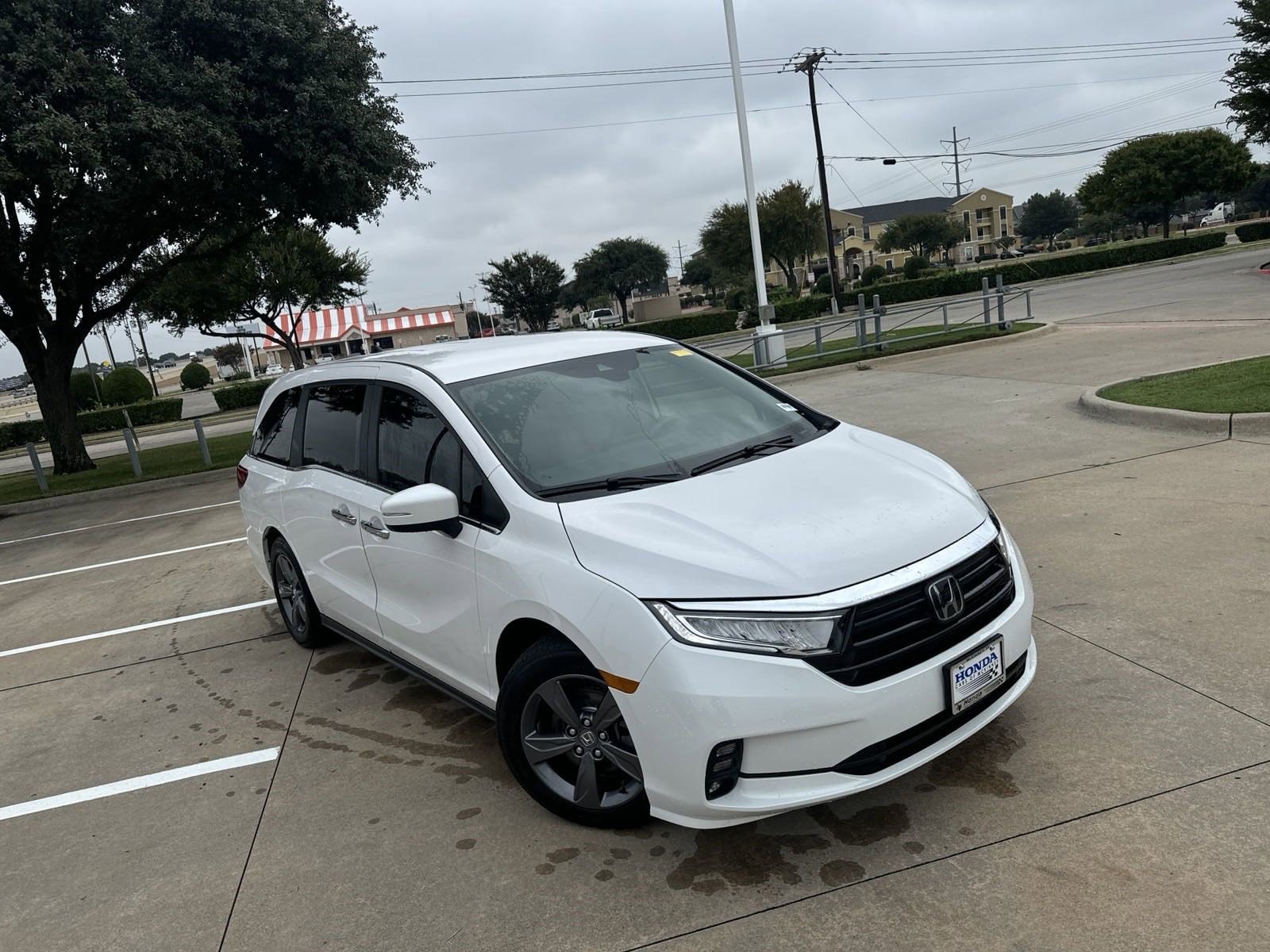 Certified 2024 Honda Odyssey EX with VIN 5FNRL6H53RB059897 for sale in Mckinney, TX