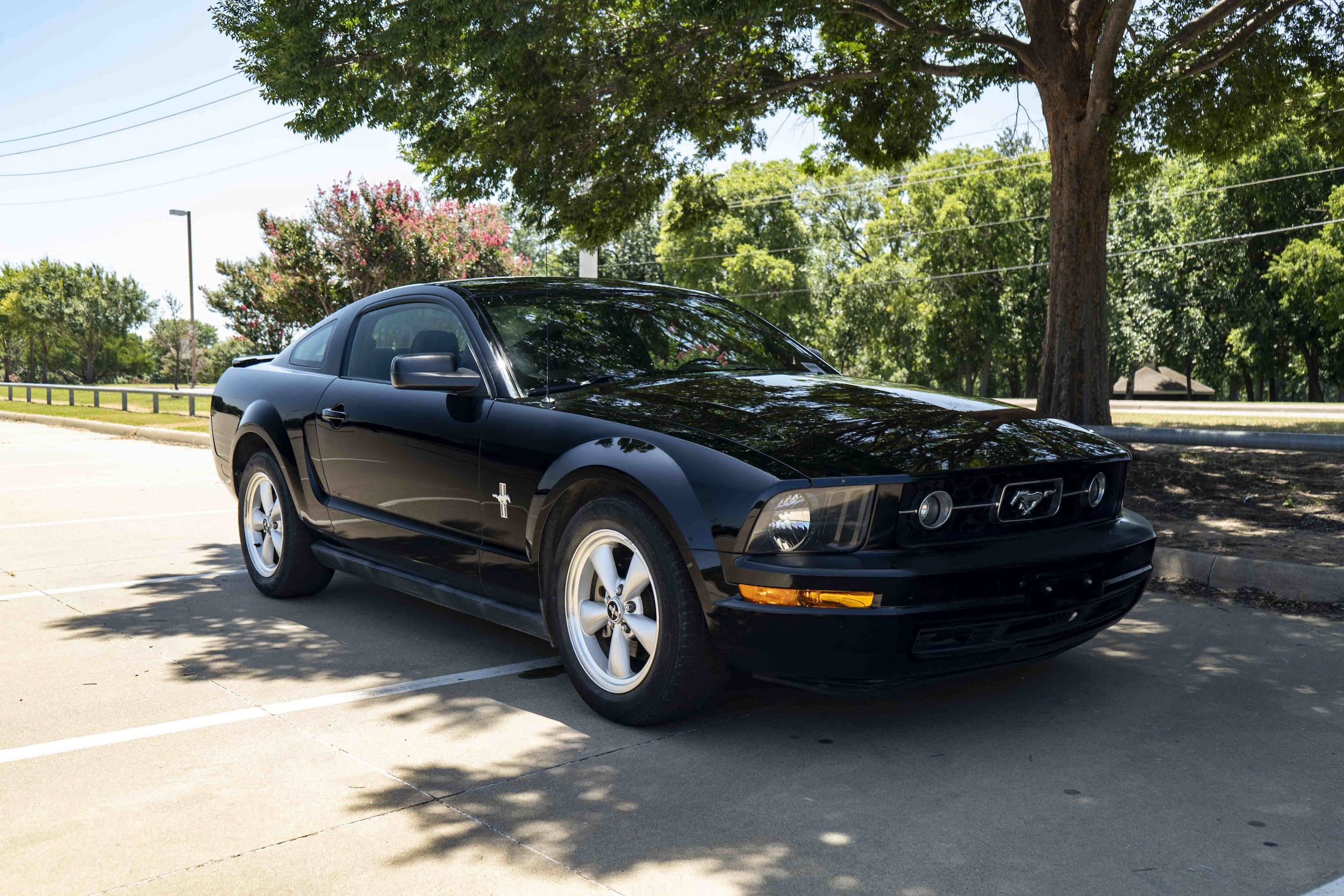Used 2008 Ford Mustang Deluxe with VIN 1ZVHT80NX85157244 for sale in McKinney, TX