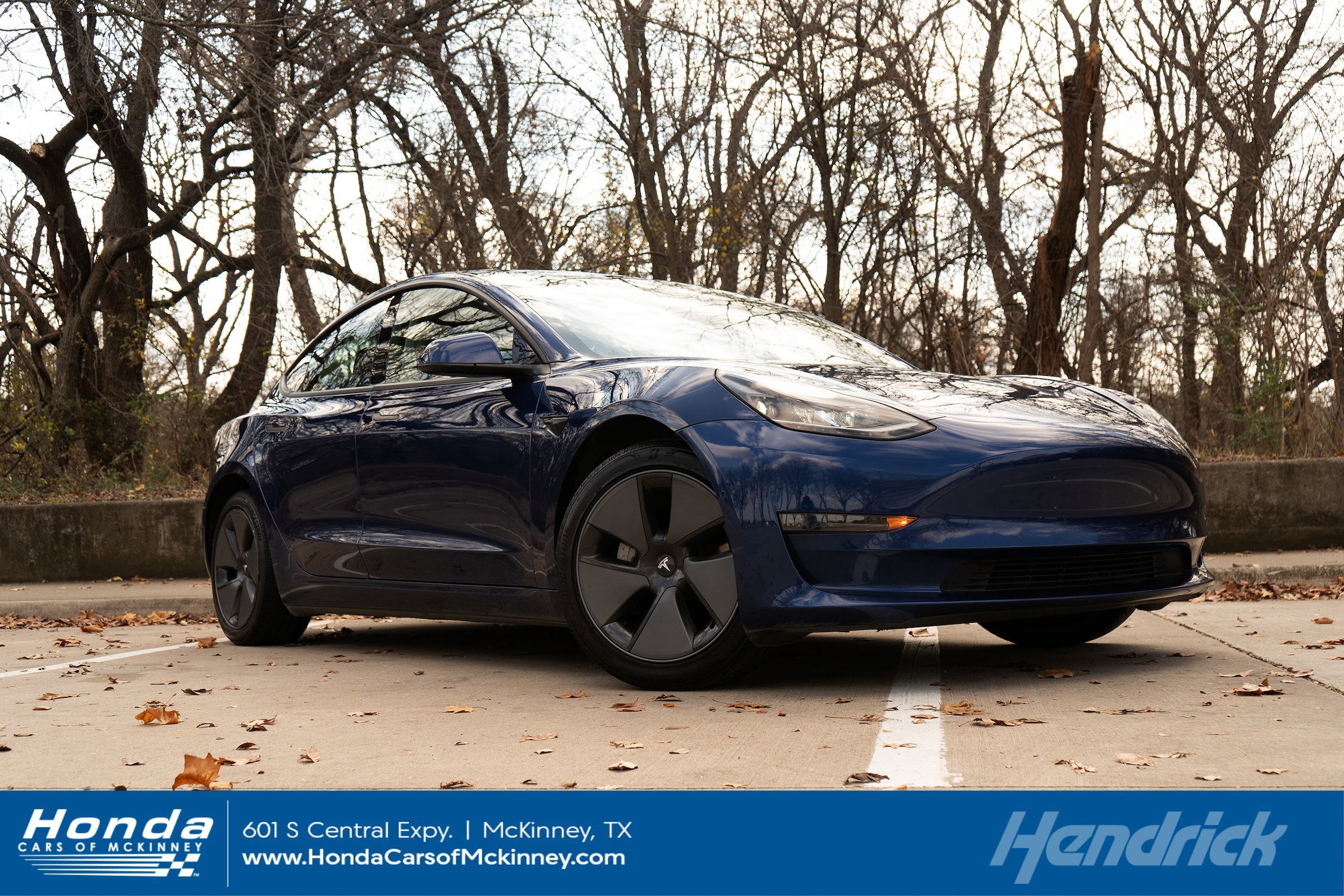 2021 Tesla Model 3 Base's photo