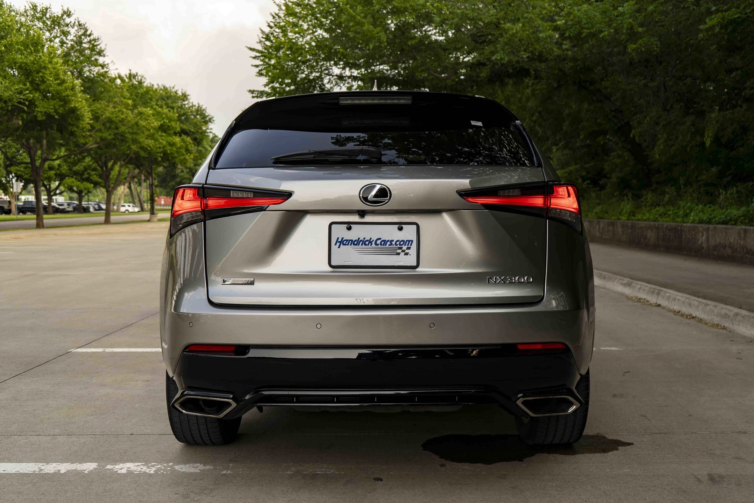 2021 LEXUS NX NX 300 F SPORT photo 6