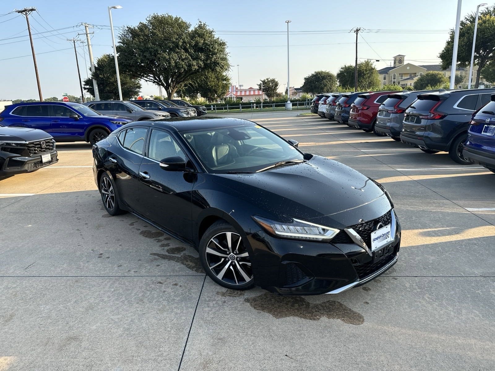 Used 2021 Nissan Maxima SV with VIN 1N4AA6CV6MC503876 for sale in Mckinney, TX