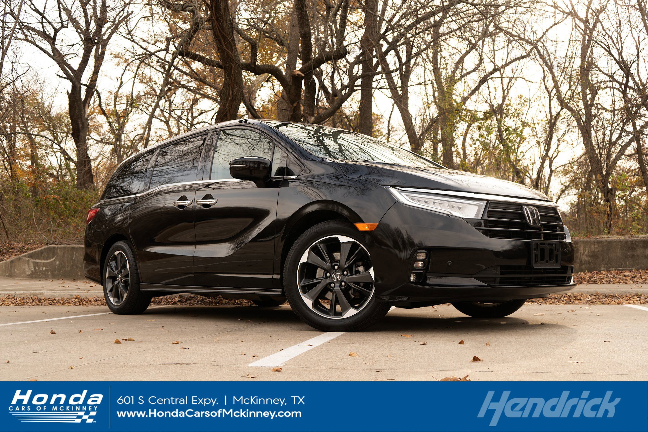 2023 Honda Odyssey Elite's photo