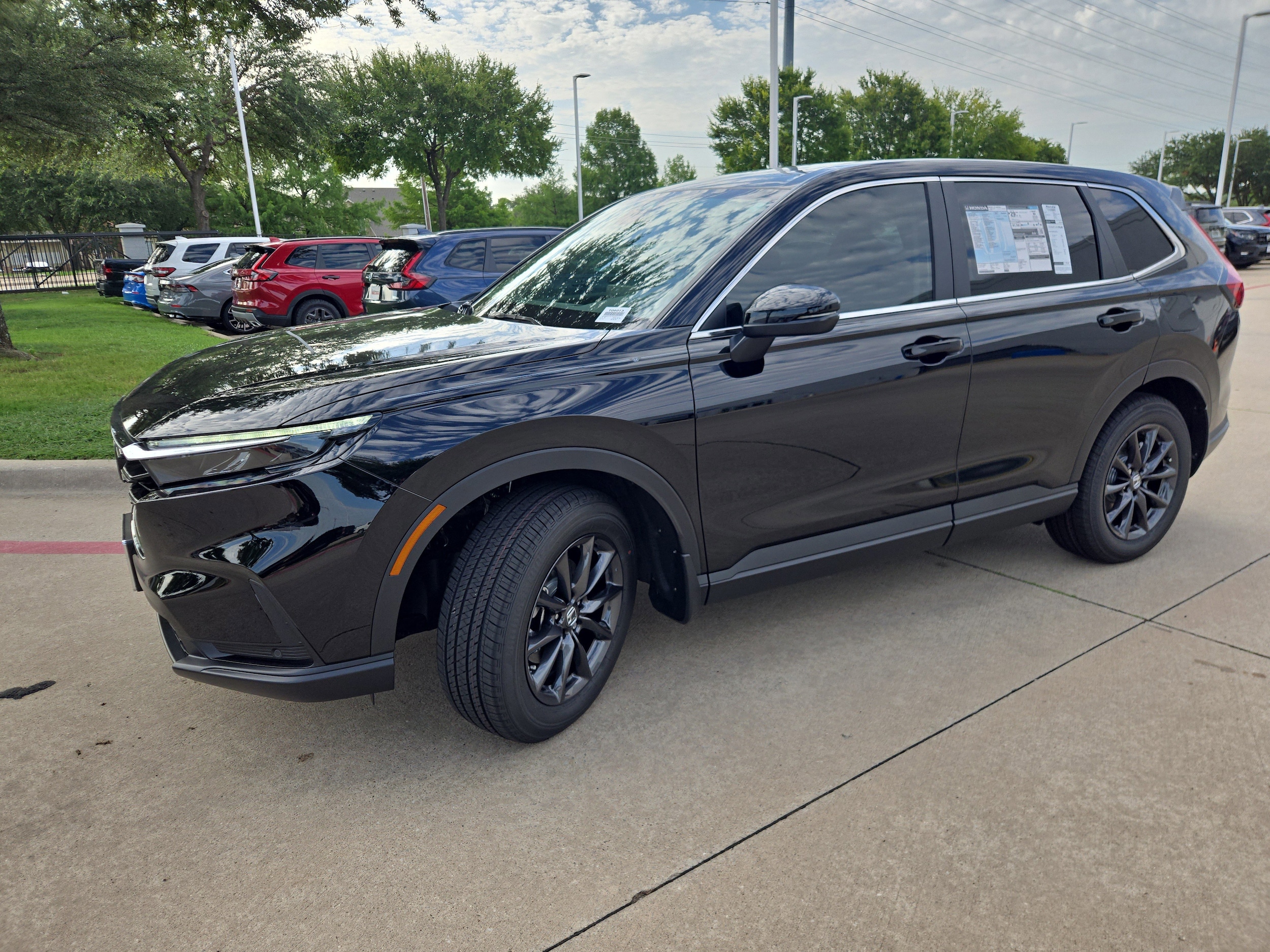 View 5