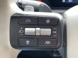 2025 Hyundai Santa Fe Calligraphy SUV