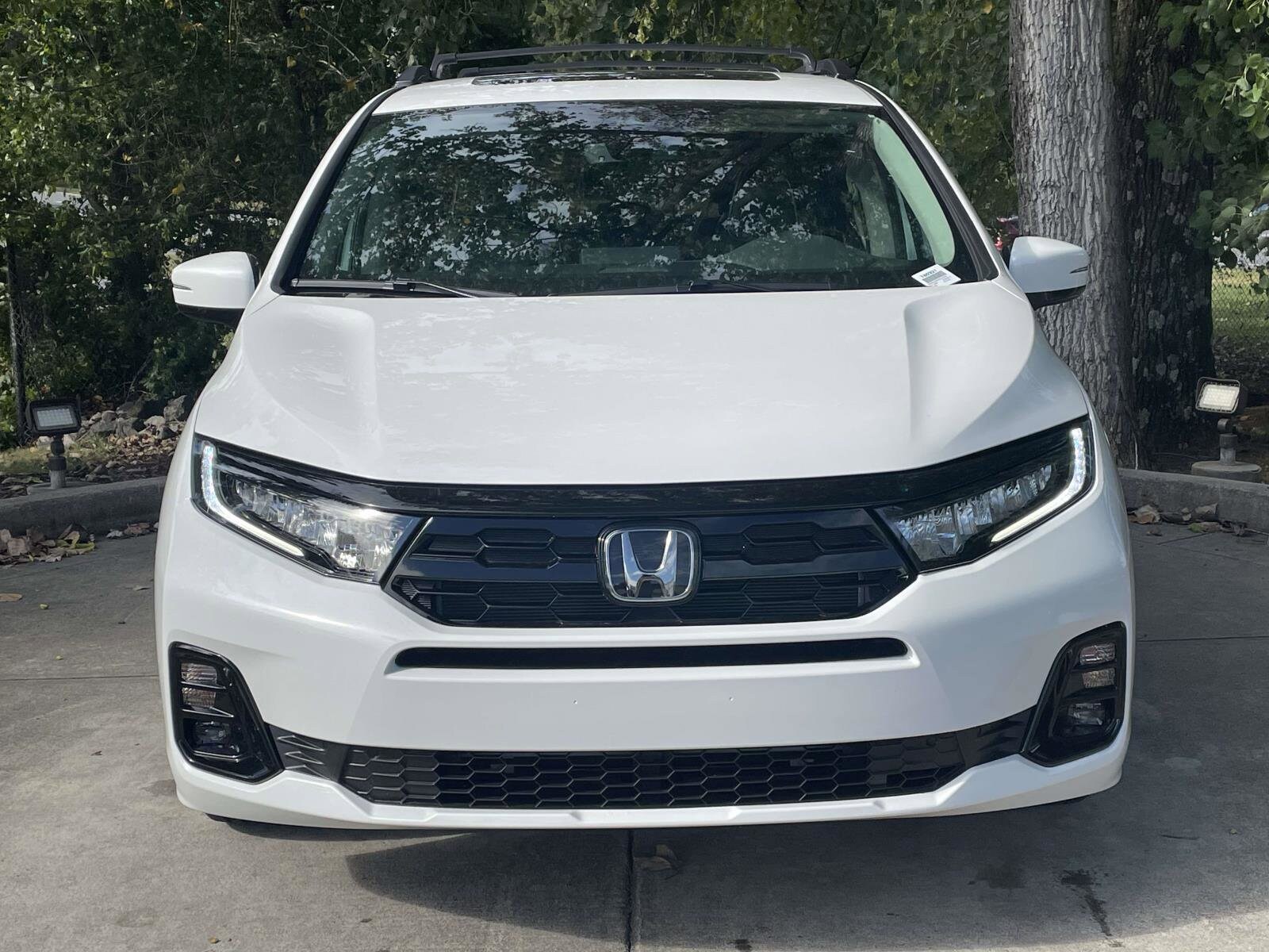 2026 Honda Odyssey Elite photo 2