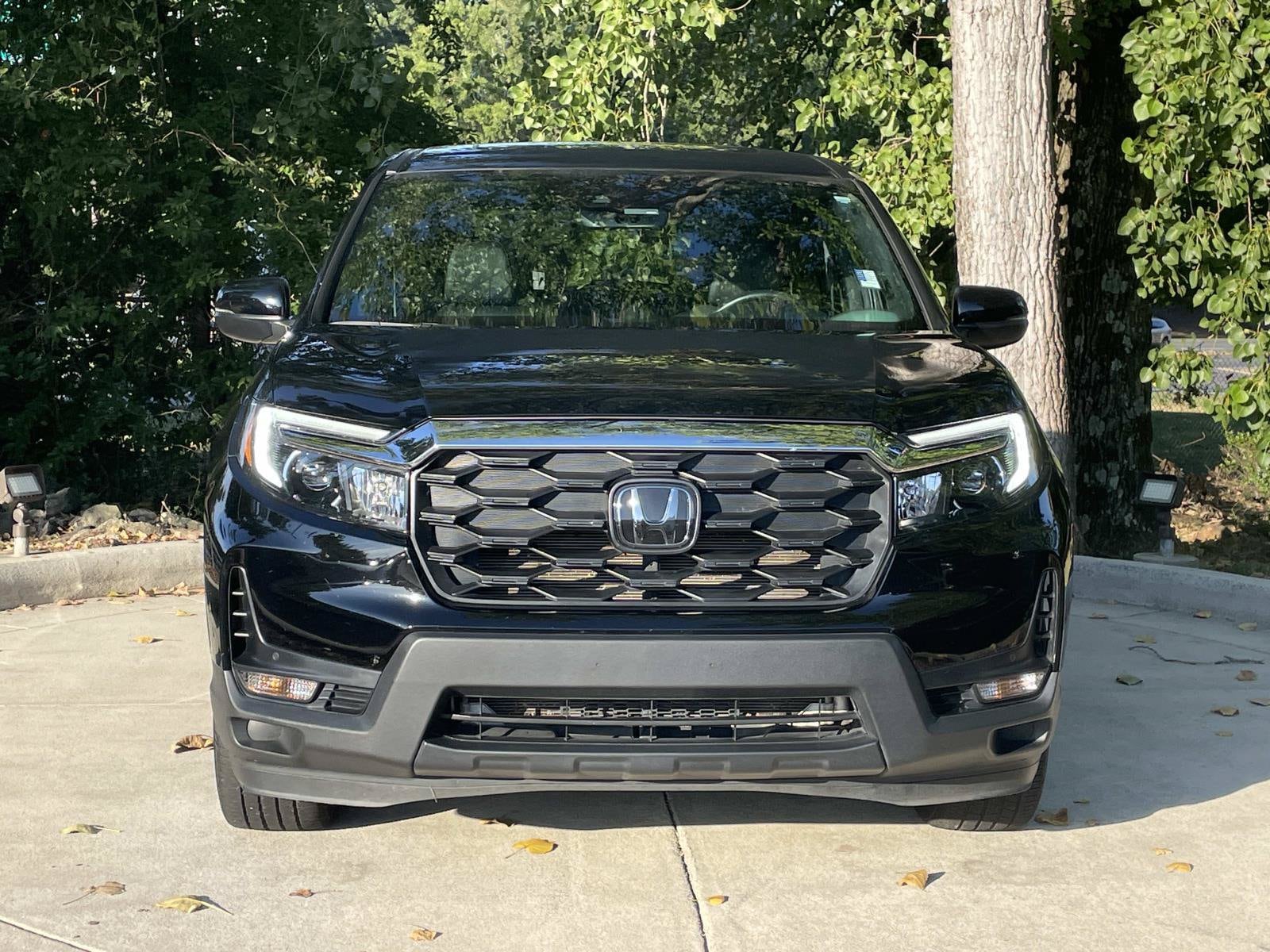 2024 Honda Passport EX-L