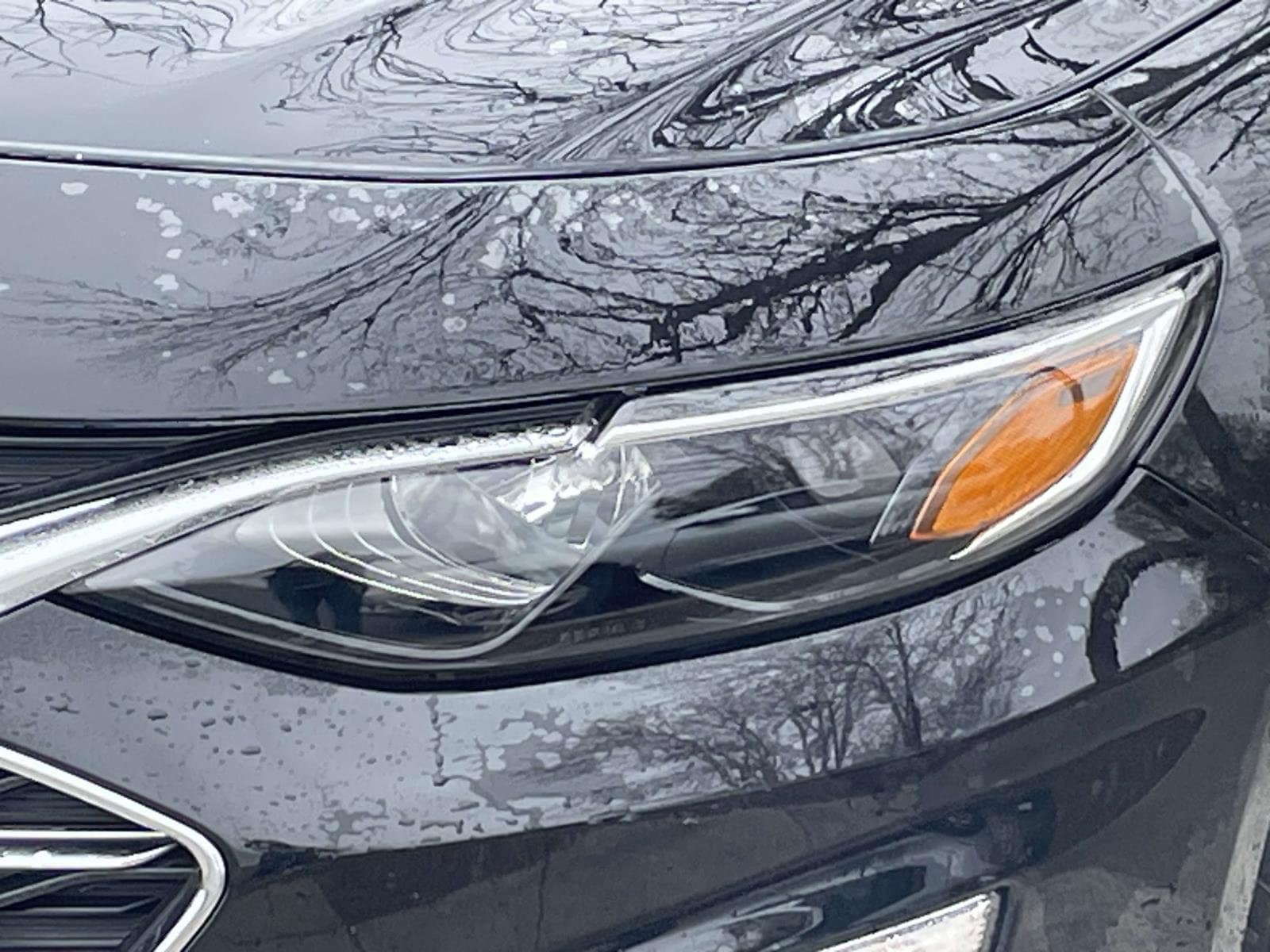 2024 Chevrolet Malibu LT photo 5